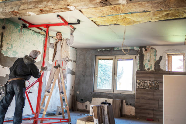 Best Eco-Friendly Insulation in Shepherd, MI