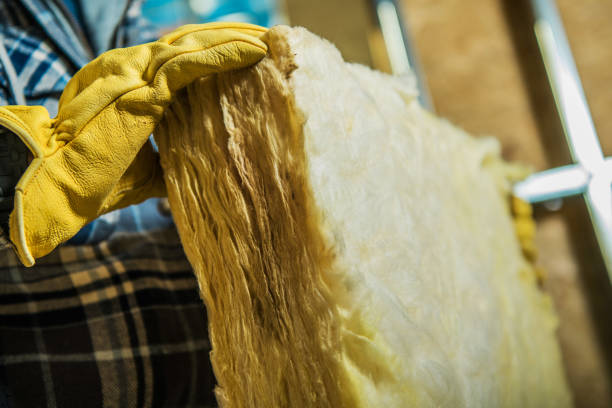 Best Geographic-Specific Insulation Services in Shepherd, MI