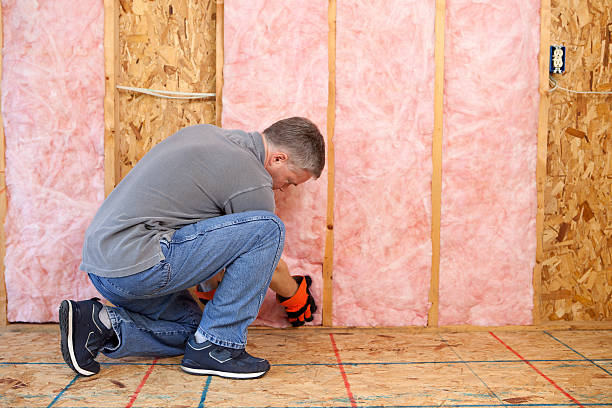 Best Blown-in Insulation in Shepherd, MI