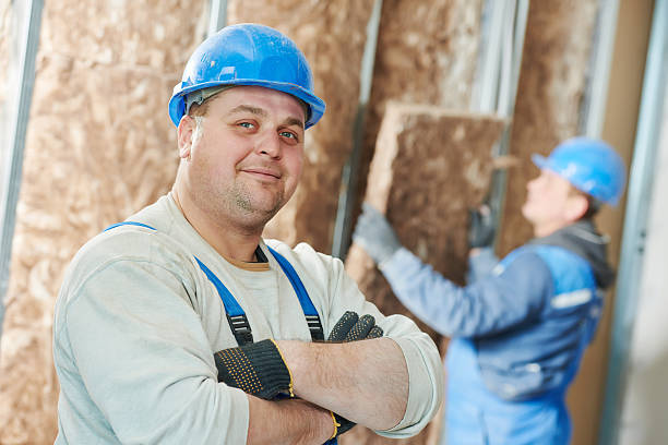 Best Residential Insulation in Shepherd, MI